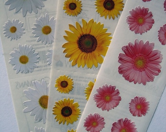Mrs Daisies Photo Real Daisy Flower Grossman/'s Stickers 4 Strips