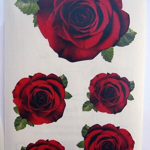 Pretty Lot of Rose Roses Stickers - 2 Full Strips by Mrs. Grossman's ...