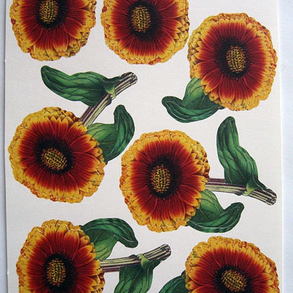 ANNA GRIFFIN "Group 1" "More Flower Pot" Decoupage Die Cuts - Rare & Pretty Floral Die-Cuts for Card-Making/Scrapbooking, etc.