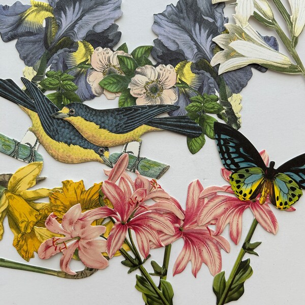 Découpes Fleurs Anna Griffin éclairées AG720 - Pour Scrapbooking Et Loisirs Créatifs