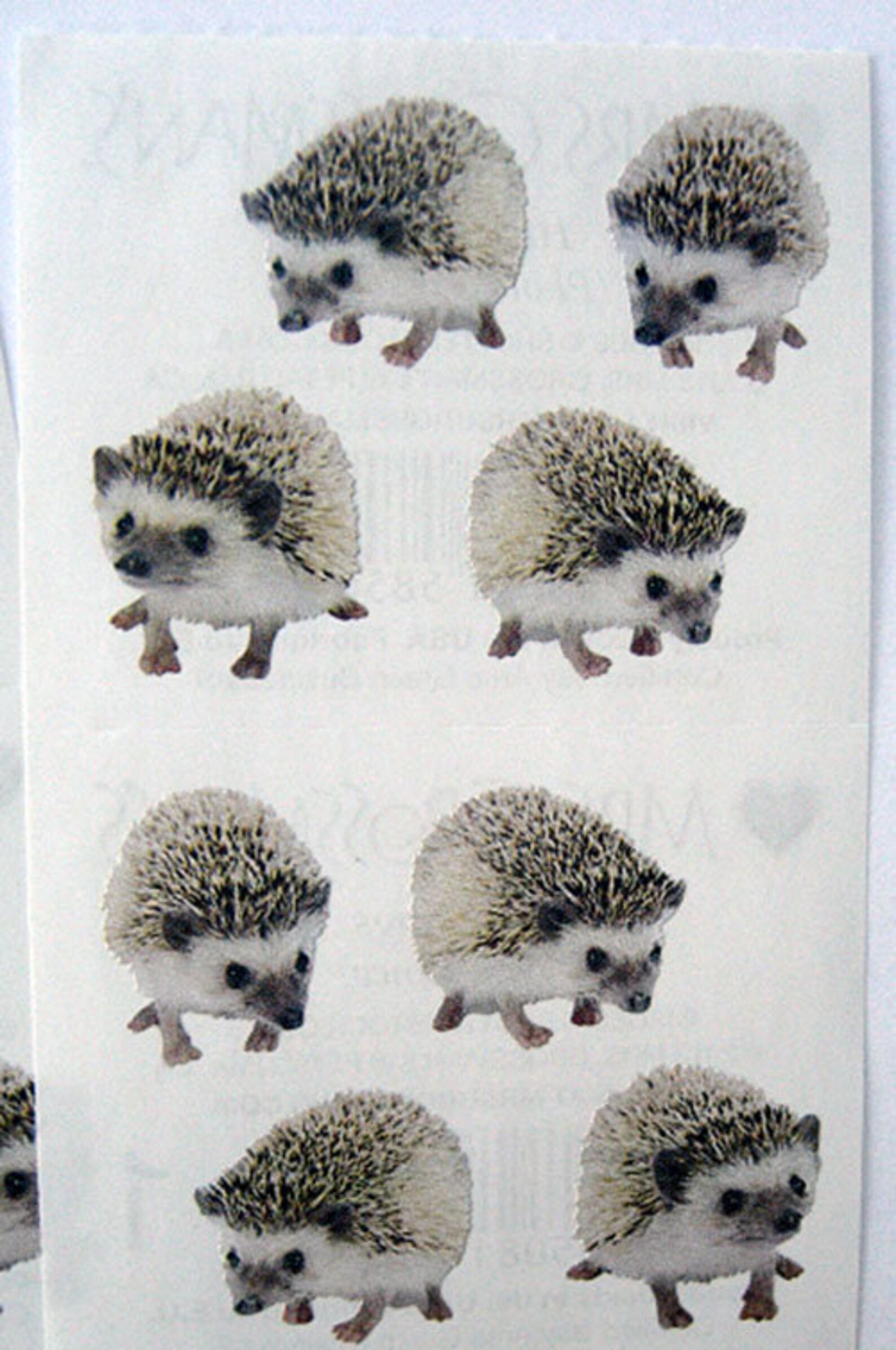 Lot of 2 HEDGEHOGS Stickers SO Cute Photoessence Hedgehog Etsy