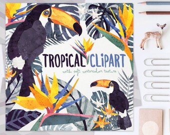 3 FOR 2. Tropical Clipart. Flowers, Toucan, Bird of Paradise, Jungle Clip Art. Digitally Handdrawn Watercolor Clipart. Palm Leaves Animal.