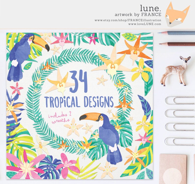 May include: A digital illustration of 34 tropical designs, including two wreaths. The designs feature toucans, flowers, and leaves in a vibrant color palette of pink, yellow, green, and blue.