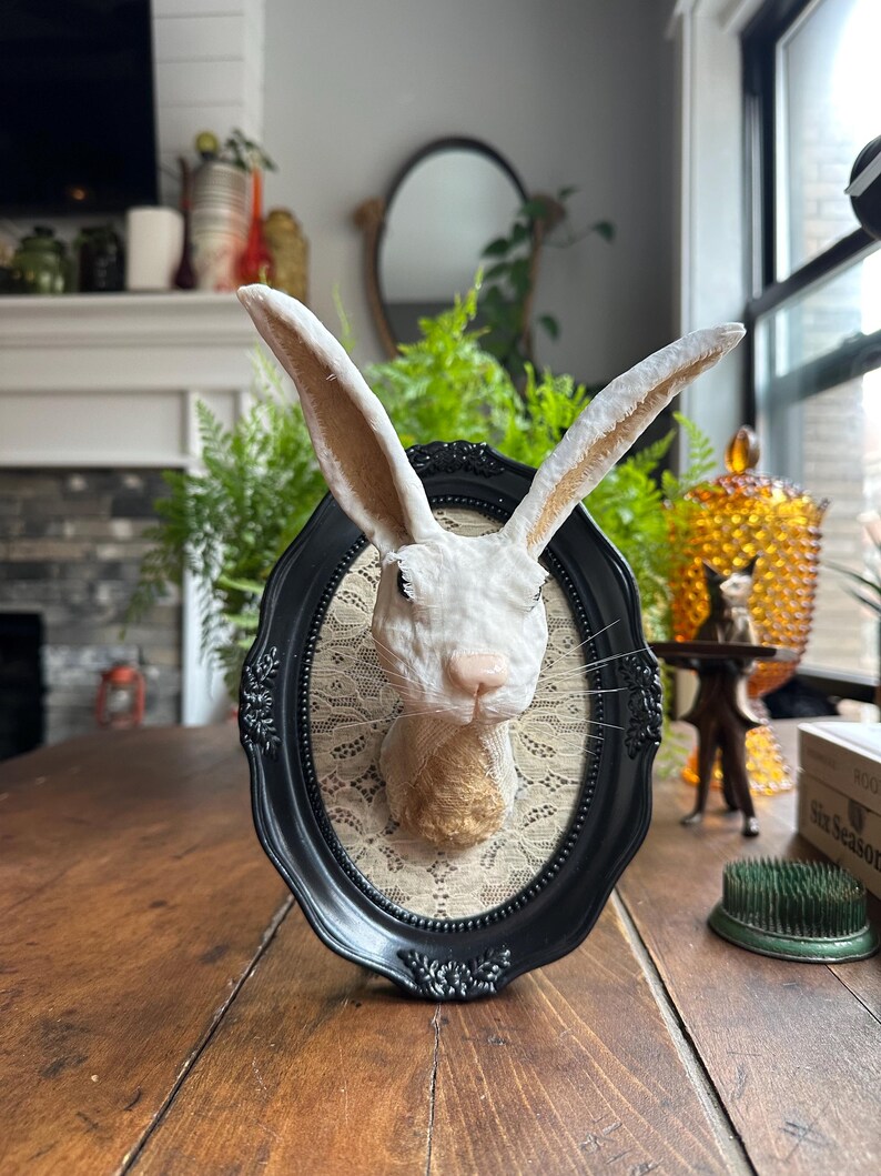 Faux Rabbit Mount on Oval Frame With Vintage Linens - Chucks Trophy No ...