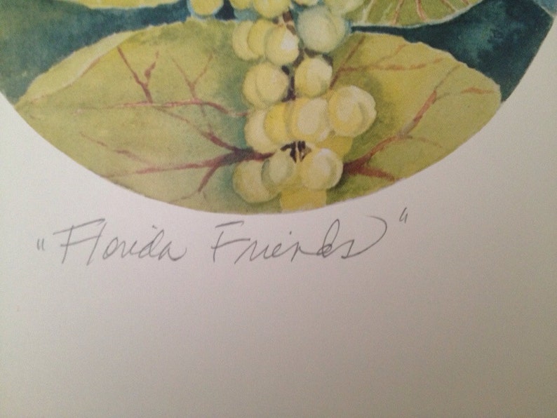 May include: Watercolor painting featuring a cluster of white berries and green leaves. The artwork is set against a dark blue background. The text "Florida Friends" is written in cursive below the image.