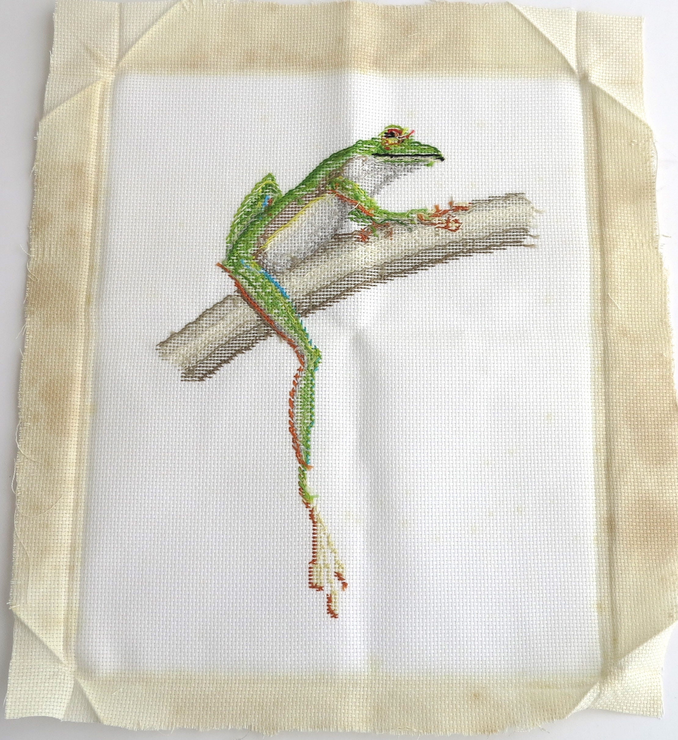 Download Embroidery of green frog sitting on a tree, continental ...
