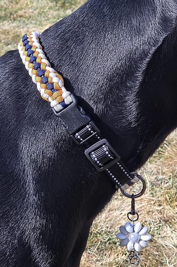 Custom Dog Collar - Covenant Sanctified Weave