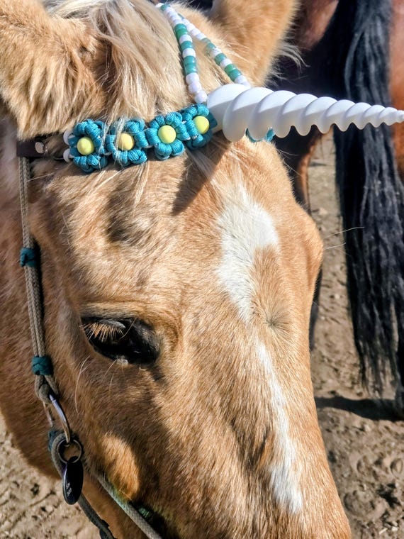Custom Unicorn Horn Browbands