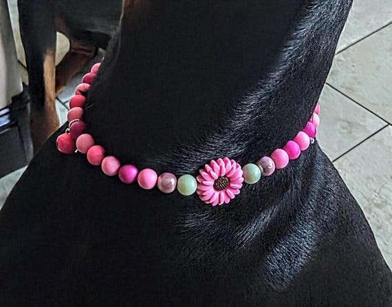 Custom Camping Collar