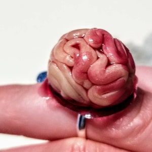 May include: A silver ring featuring a detailed, realistic brain-shaped design. The brain is a mix of pink and beige tones, with a glossy finish. The ring is set against a white background, highlighting the unique, anatomical jewelry.