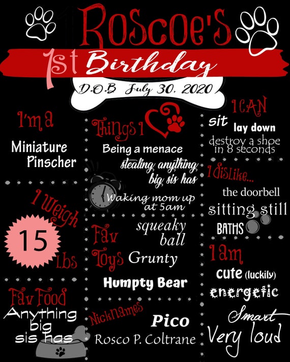 It's My Birthday - Dog Posters - CUSTOM DIGITAL PRINT