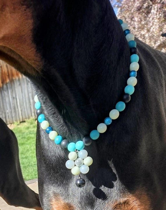 Custom Camping Collar