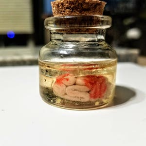 Gory Brain in a Jar - Glows in the Dark