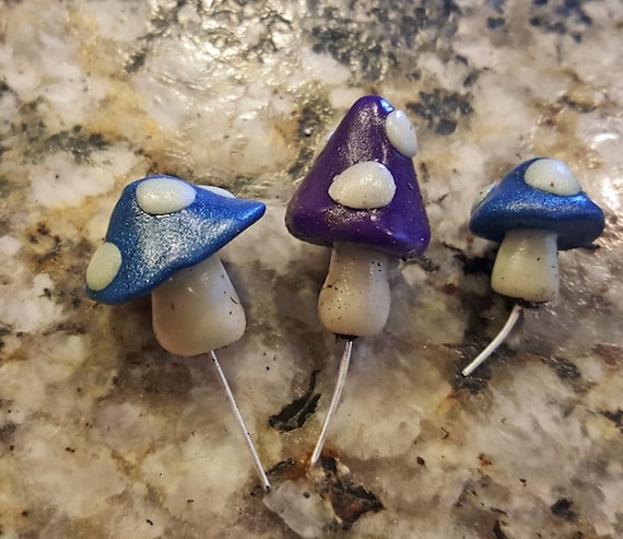 Fairy Garden Mushrooms - they glow in the dark
