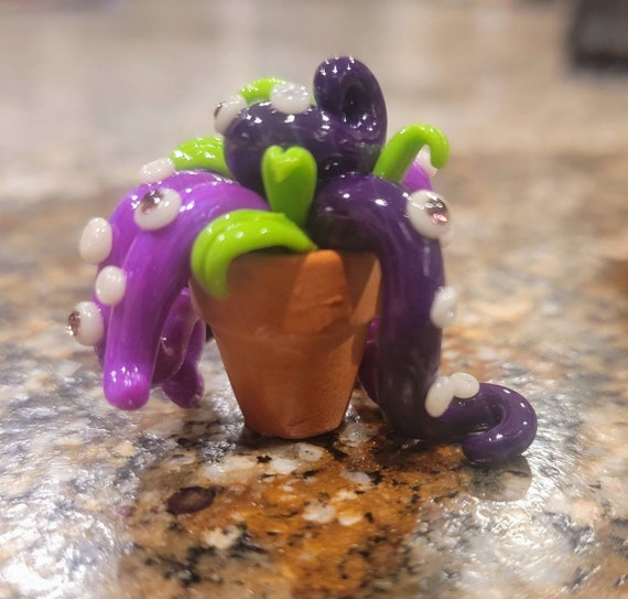 My Pet Baby Monster Plant - Priscilla