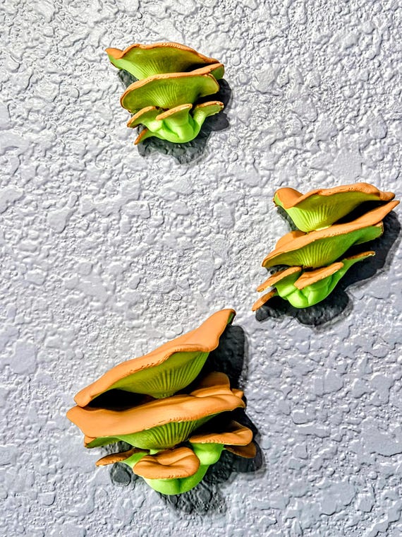 Glow-in-the-Dark Oyster Mushroom Wall Art – Set of 3 – 3D Printed Realistic Mushrooms