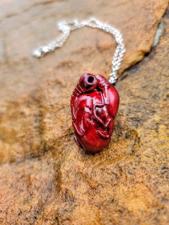 Realistic anatomical heart necklace