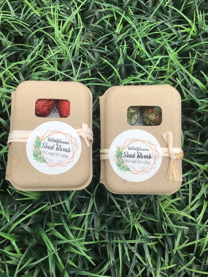 Wildflower Seed Bomb Box. Gardening Gift. Seed Bombs. Etsy