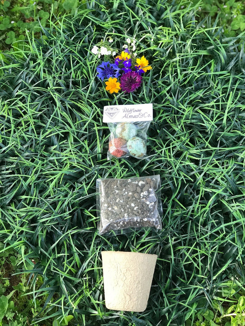 Seed Bomb Starter Kit. Pots. Wildflower. Seed Etsy