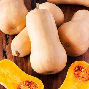 Butternut Squash Seeds