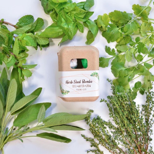 Wildflower Seed Bomb Box. Gardening Gift. Seed Bombs. Etsy