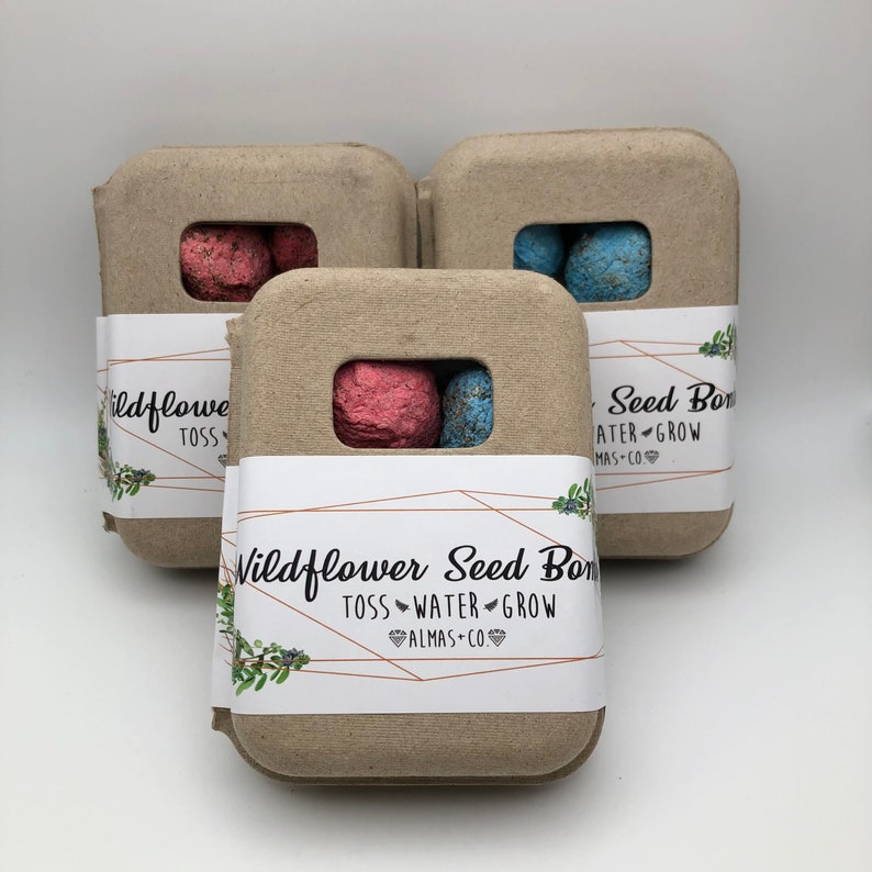 Wildflower Seed Bomb Box. Gardening Gift. Seed Bombs. Etsy