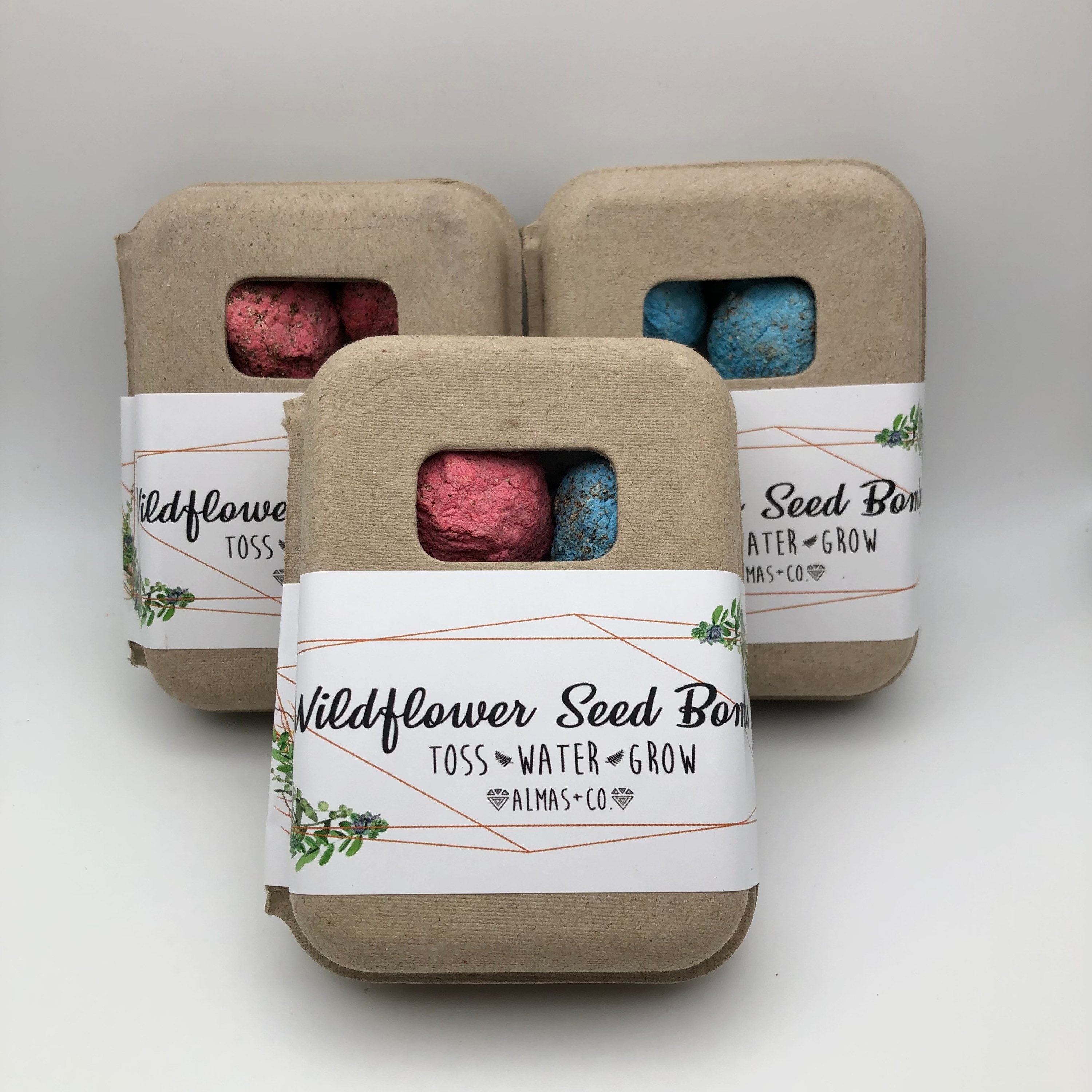 Wildflower Seed Bomb Box. Gardening Gift. Seed Bombs. Etsy