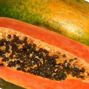 Papaya Seeds