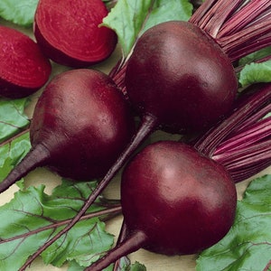 Beet Seeds