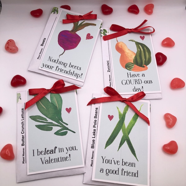 Valentines Seed Cards - Etsy