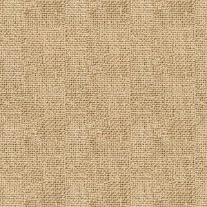 May include: Close-up of a tan burlap fabric with a coarse, woven texture. The fabric has a natural, earthy tone, with variations in color creating a subtle visual depth. The weave is tight, showing the individual fibers.