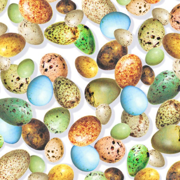 Hummingbird Garden White Bird Eggs, Rosiland Soloman for QT Fabrics - 28156-Z - 100% Cotton Cut Continuously