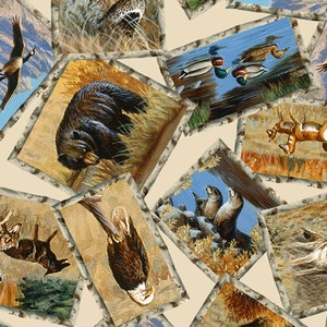 Peut inclure: Un collage d'images représentant divers animaux dans la nature. Les images sont encadrées d'un motif d'écorce de bouleau et sont disposées sur un fond crème. Les animaux comprennent un ours, un cerf, un pygargue à tête blanche, des canards et un castor.