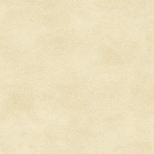 May include: A pale yellow, seamless background with a textured surface. The texture has a subtle, speckled appearance, creating a soft, uniform look. The overall effect is a muted, neutral tone.