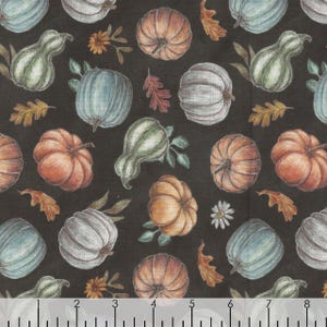 Late Summer Harvest Charcoal Tossed Pumpkins - Lily Ford for Blank Quilting - 3312-99 - 100% Cotton Cut Continuously