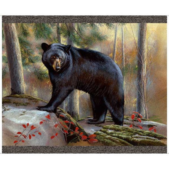 Timberland bear store