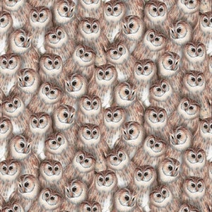May include: A seamless pattern featuring a repeating design of brown owls with large, round eyes. The owls are arranged in a close-up, overlapping pattern, creating a sense of depth and texture.