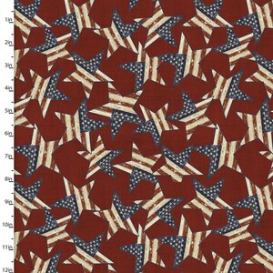 Patriotic Summer Red Stars - Beth Albert for 3 Wishes Fabrics - 17344-RED - 100% Quilting Cotton Cut Continuously