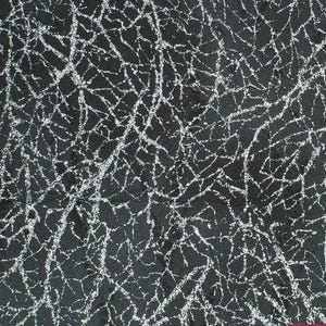 Peut inclure: Gros plan sur un tissu noir avec un motif argenté en forme de toile d'araignée. Le design présente des lignes irrégulières et interconnectées, créant un aspect texturé. Les lignes argentées ont un léger effet scintillant, contrastant avec le fond sombre.