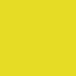 Tula Pink Solid Pear Yellow - Free Spirit Fabrics - CSFSESS-PEARX - Yellow Quilting Cotton Cut Continuously