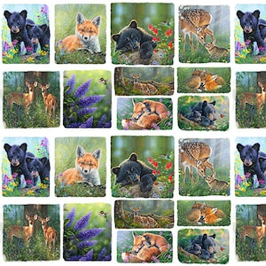 May include: A collage of 12 images featuring various animals in a woodland setting. The images include a fox, a deer, a bear, and a hummingbird. The images are arranged in a grid pattern.