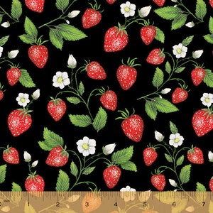 Just Fruit Strawberries Black, Catherine Rowe for Windham Fabrics, 53313-2, 100% Quilting Cotton Cut Continuously