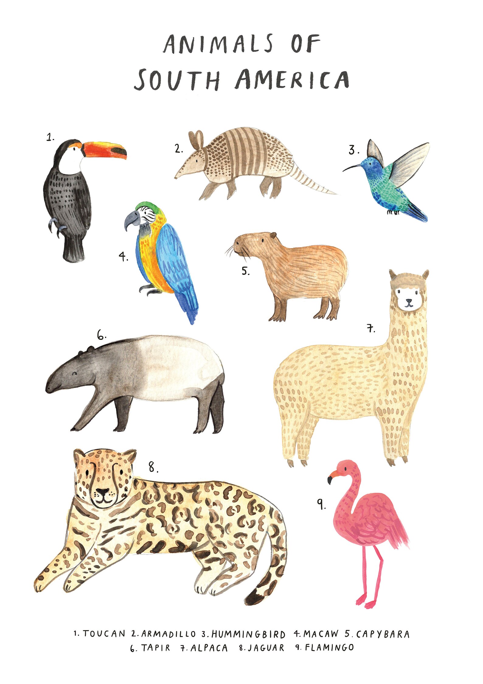 Animals of South America Educational prints for kids Animal | Etsy