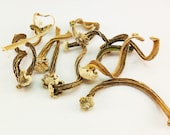 10 thin and long Pumpkin Stems Real Pumpkin Stems Dried Pumpkin Tops Velvet Pumpkin Stems Supply Pumpkin Stems for Crafting Supply