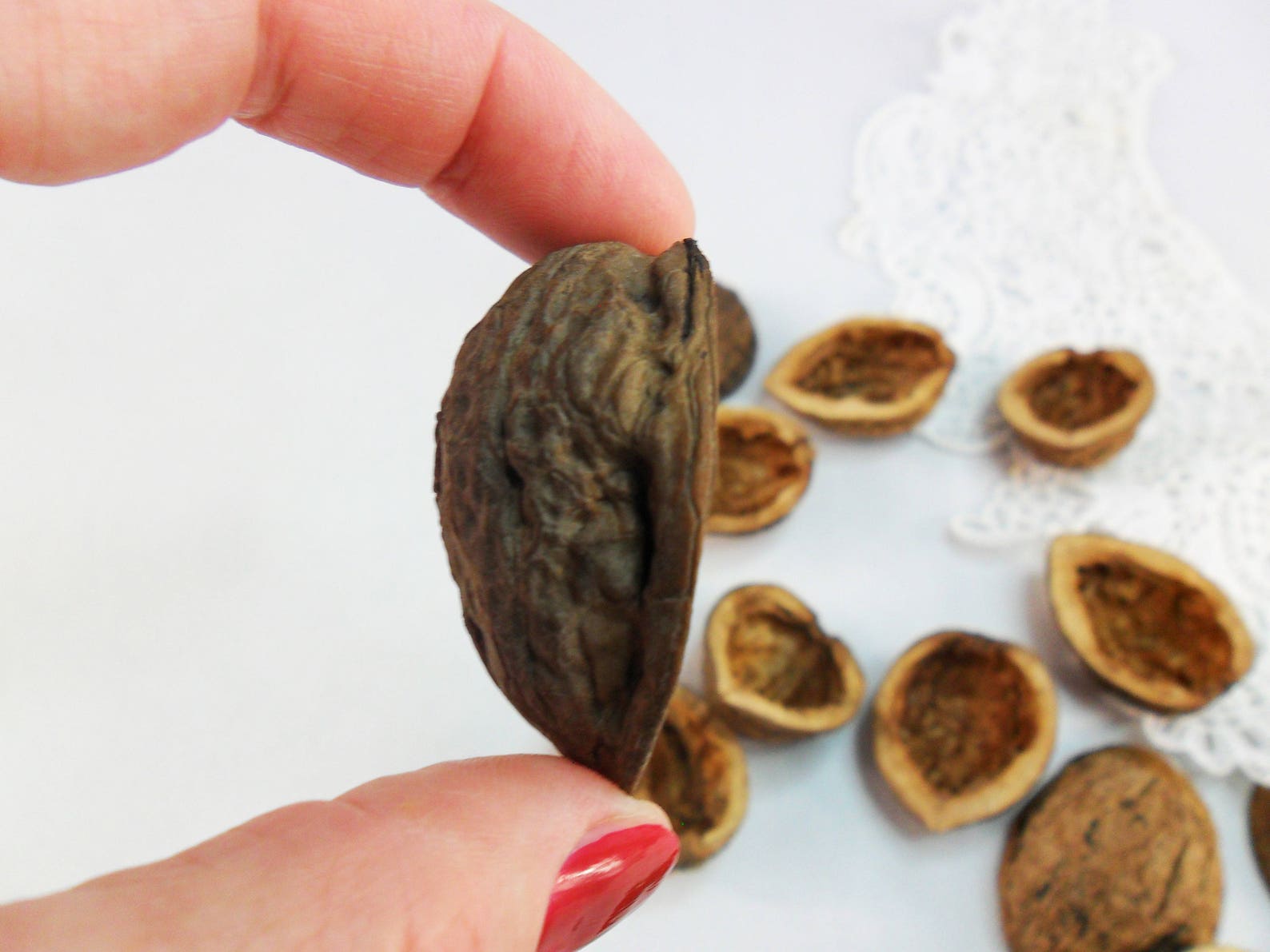 Walnut shell halves long Natural light walnut Walnut halves Etsy