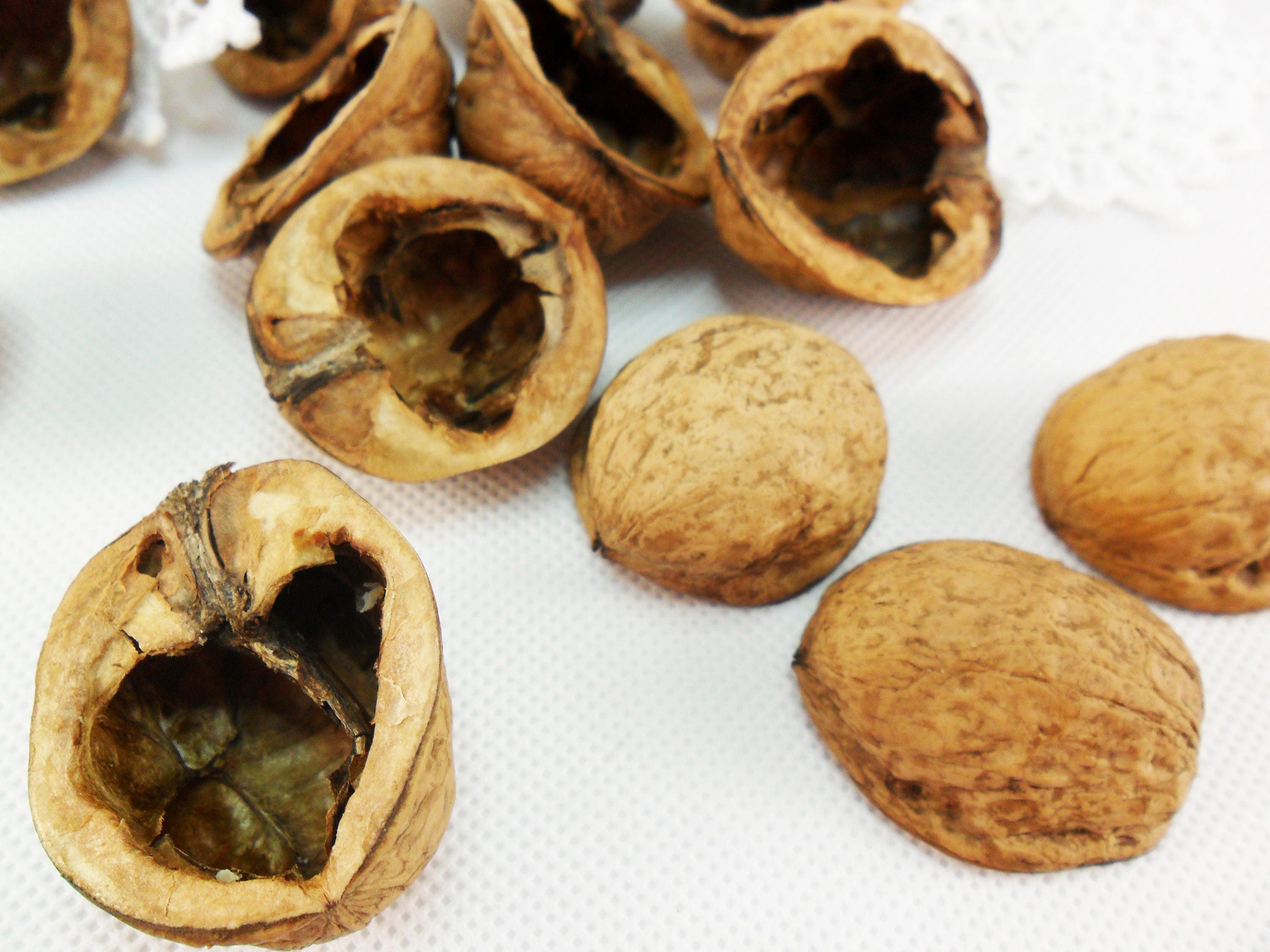 Walnut shell halves round Natural light walnut Walnut halves Etsy