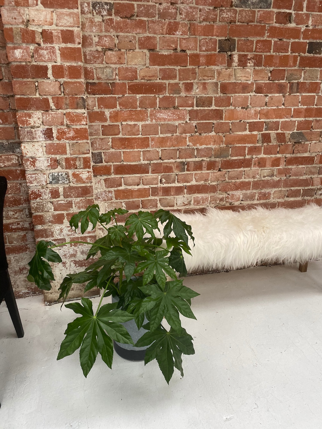 Bancs intérieur | Banc d entrée