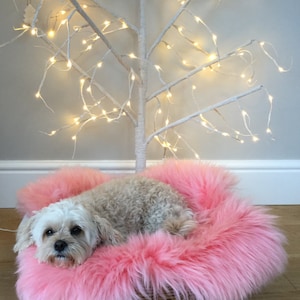 Dog bed , genuine sheepskin liner , luxury for your pet . Pet bed , liner .rose pink,