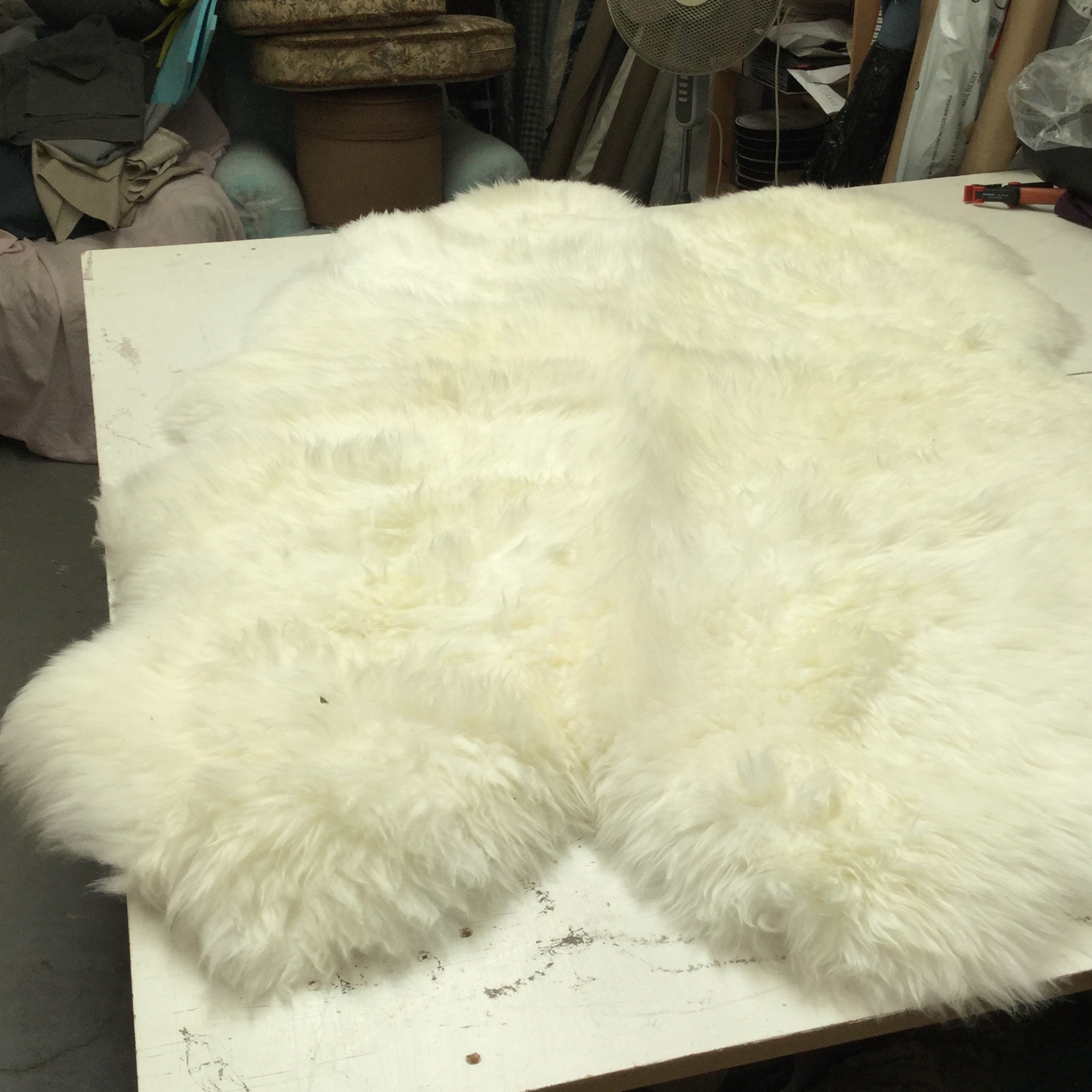 HUGE Cream sheepskin luxurious XXL rug in stunning oyster Etsy