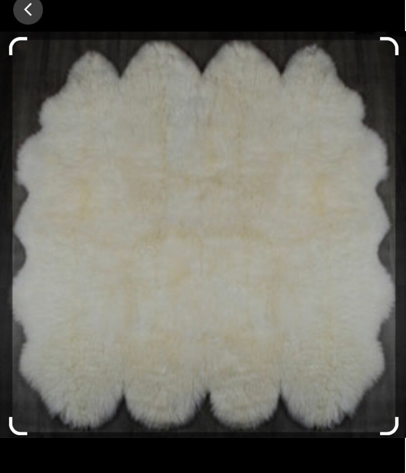 Shearling Champagne Rug HUGE Sheepskin Rug . 8 Skin Cream Champagne-sheepskin Rug, Luxury ...